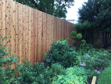 8' Cedar Fence with 10' steel poles