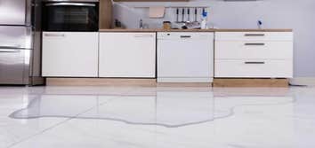 Pro Milford Water Damage Repair