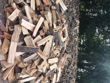 Tree Service South Jersey