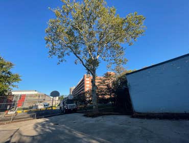 Photos by American Pride Tree Experts & Landscaping Inc #48