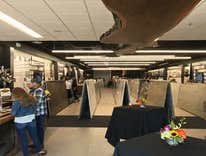Photos by Linden Group Inc #1