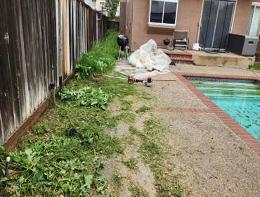 Photos by Pro M Tree Service #62