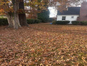 Photos by Beauty Meister Landscaping LLC #2