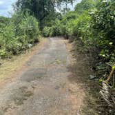 Bautista Landscaping LLC