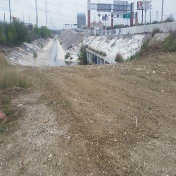 TxDot Landscaping 3000 LF of irrigation drip line serving 116 plant and trees ranging from Arizona Yellow Bells to Mexican Plum and Texas Sabal Palms.