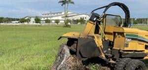 Colorado Springs Arborist