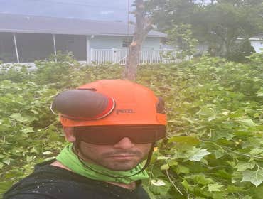 Photos by Arbobella Tree Service #1