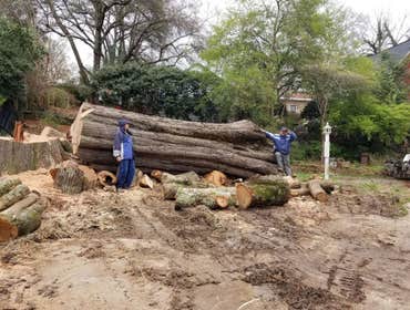 Photos by Beaver Lake Tree Service, Inc #2