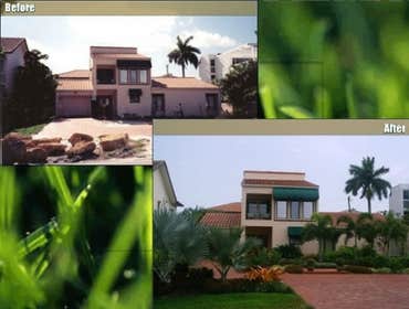 Landscape Design & Installation