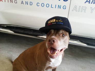 AMS ColdPro Air Conditioning / Heating Service Houston / Katy