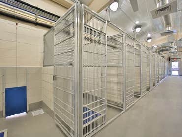 Animal Defense League Kennel Project