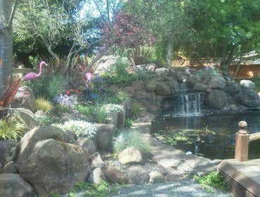 Landscapes