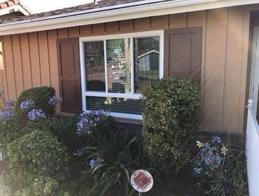 Window Installation