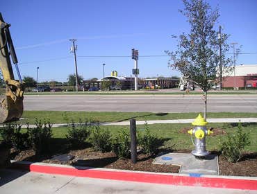 Jack in the Box - New Construction