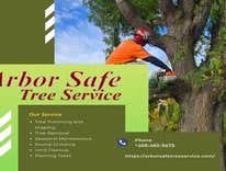 Photos by Arborsafe Tree Service #1