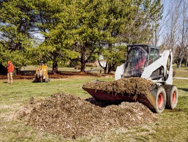 Photos by Citrus Heights Tree Service #1