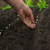 Photos by Hibbs Lawn & Landscaping, LLC #1
