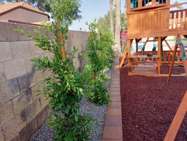 Photos by Wilfer Natural Landscape LLC #31