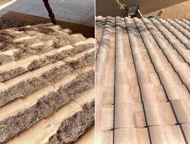Roof Cleaning