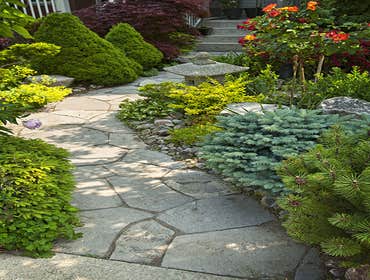 Photos from Greenscapes Lawns Services and Landscape Designs