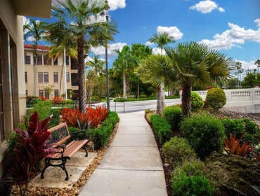 Photos by B&c Fruit Trees & Landscape LLC #1