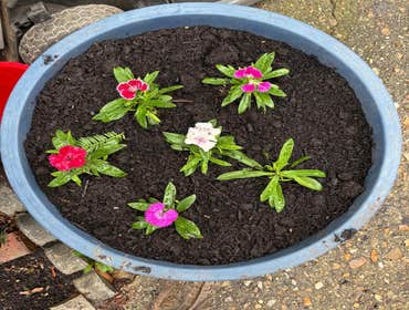 Photos by Beauty Meister Landscaping LLC #2