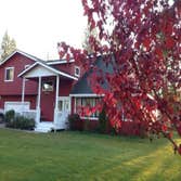 Photos from Palm Painting and Designs