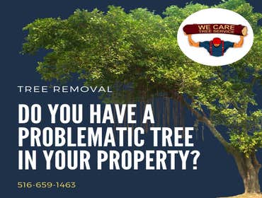 We Care Tree Services Looking for complete tree service. From tree removal to land clearing – We Care Tree Service can handle all of your tree service 