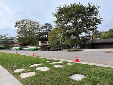 Photos by California Green Tree Care #1
