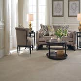 Tuftex carpet & rugs