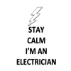 Best Fishers Electrician logo