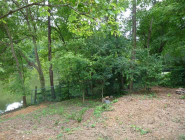Backyard makeover summer of 2011