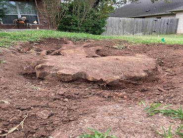 Photos by Atx Blue Star Tree Service #1