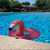 Photos by Gomez Pool Service & Repair #1