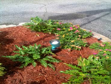 Landscape Lighting