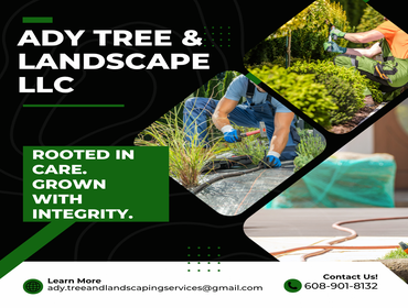 Photos by Ady Tree & Landscape LLC #3
