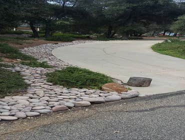 Photos from Sorias Landscaping & Maintence