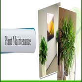 Miami plant leasing Since 1991, the Plant Care name has been the one that locals in Miami and surrounding areas around South Florida have relied on for