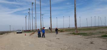 Photos by MARIO'S TREE SERVICES #1