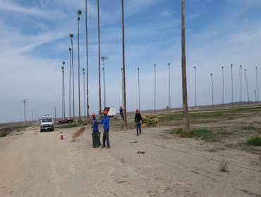 Photos by MARIO'S TREE SERVICES #1