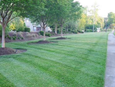 Photos by North Carolina Turf Care Corp #1