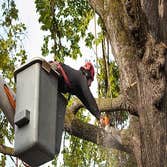 Koktowhanund City Tree Service