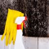 ST. George Mold Removal Solutions logo