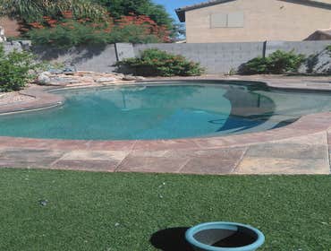 Photos by Nexus Pool Care #1