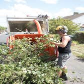 Lodi Tree Service
