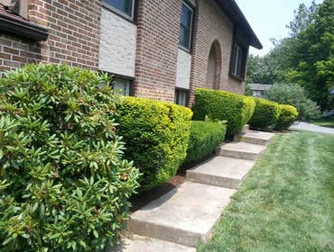 Stadel Lawn And Landscaping, Inc Examples of our work. We are committed to providing the following quality services for an affordable price: Lawn Mowi