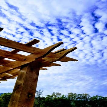 Post & Oak Design-build
