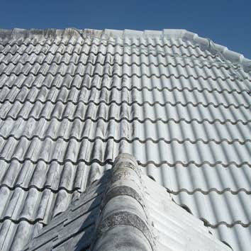 Photos by Palm Beach Roof Cleaners #1