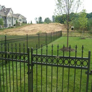Ornamental Iron