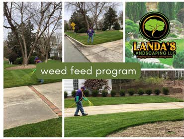 weed feed program
